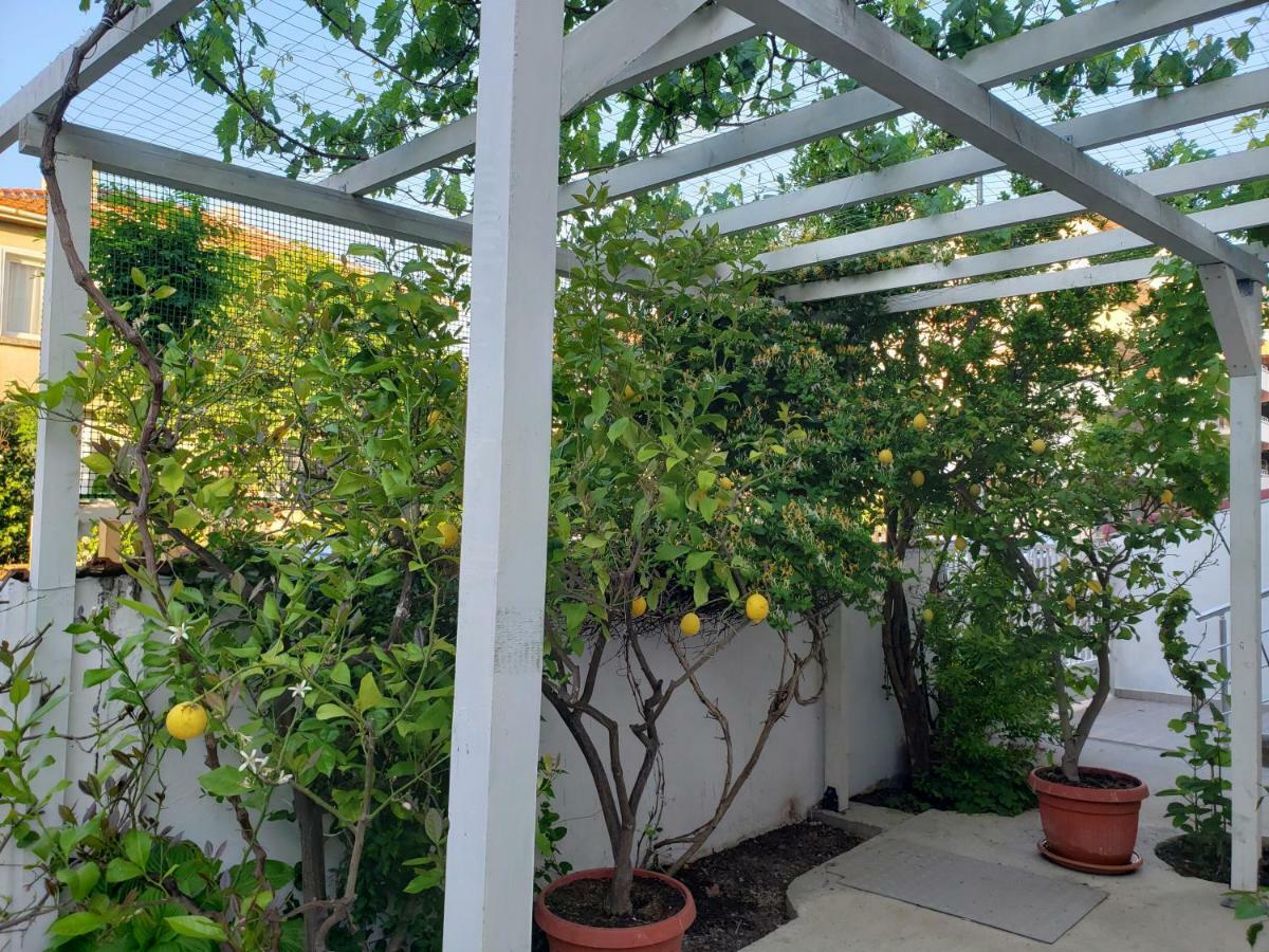 Guest House Evtimov 普里莫尔斯科 外观 照片
