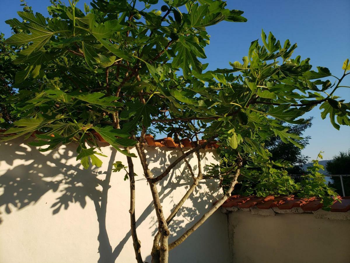 Guest House Evtimov 普里莫尔斯科 外观 照片